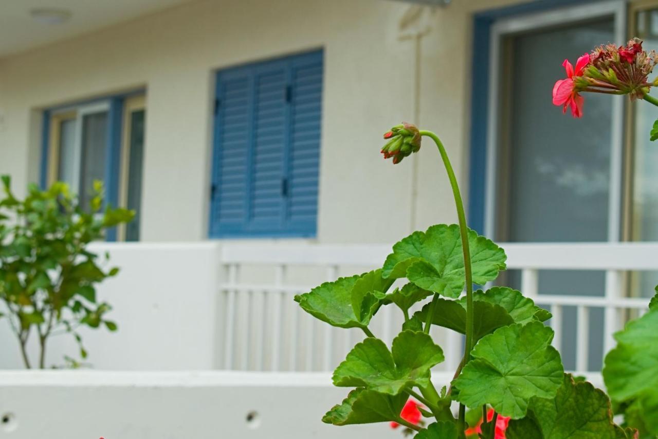 Alex Apartment Strovolos エクステリア 写真